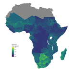 Mapping Local State Capacity